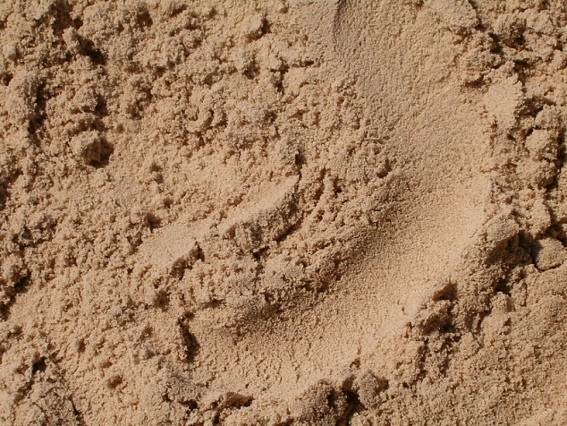 Намывной песок
